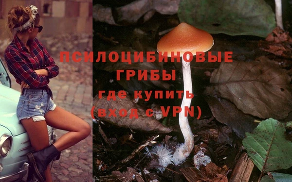 винт Заводоуковск