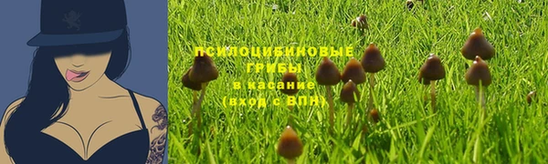 винт Заводоуковск