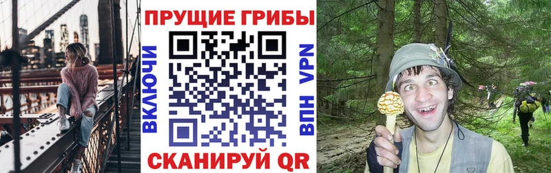 Купить закладки  Лобня  Галлюциногенные грибы Cubensis 